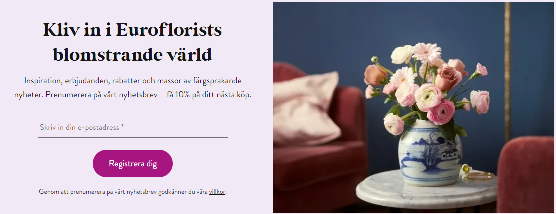 Bild 1.png